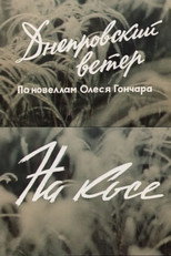 Poster de la película The Dnipro Wind. On the Spit