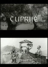 Poster de la película Bridges