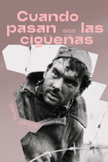 Poster de la película Cuando pasan las cigüeñas