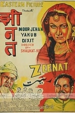 Poster de la película Zeenat