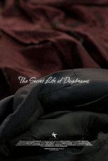 Poster de la película The Secret Life of Daydreams