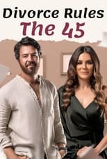 Poster de la serie The 45 rules of divorce