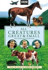 Poster de la serie All Creatures Great and Small