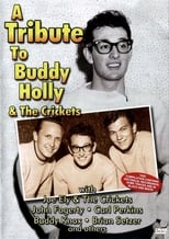 Poster de la película A Tribute To Buddy Holly And The Crickets