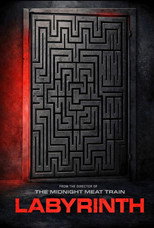 Poster de la película Labyrinth