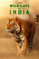 Poster de la serie Wild Cats of India