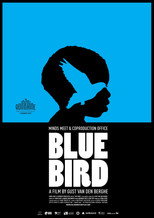 Poster de la película Blue Bird