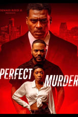 Poster de la película Perfect Murder