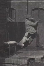 Poster de la película The Tramp and the Dog