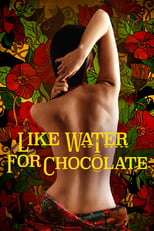 Poster de la película Like Water for Chocolate