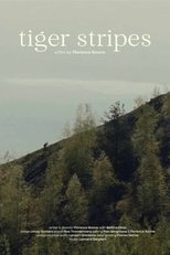 Poster de la película Tiger Stripes