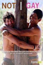 Poster de la película Not Gay