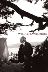 Poster de la película Wild Strawberries