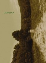 Poster de la película Camaleoa