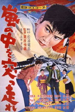 Poster de la película Showdown in the Storm