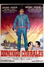 Poster de la película Domingo Corrales