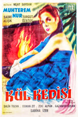 Poster de la película Kül Kedisi