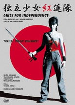 Poster de la película Samurai Chicks