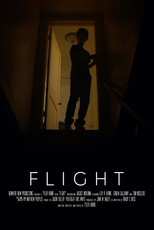 Poster de la película Flight