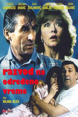 Poster de la película Part-Time Divorce