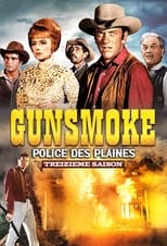 Gunsmoke Police Des Plaines
