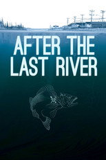 Poster de la película After the Last River