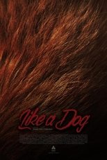 Poster de la película Like A Dog