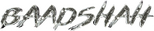 Logo Baadshah