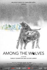 Poster de la película Among the Wolves
