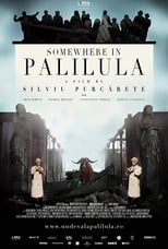 Poster de la película Somewhere in Palilula