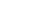 Logo The Bonfire of the Vanities