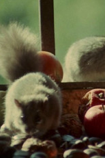 Poster de la película Dormouse