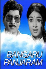 Poster de la película Bangaru Panjaram