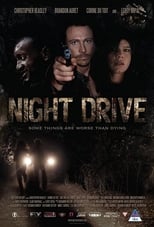 Poster de la película Night Drive