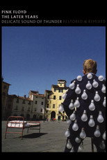 Poster de la película Pink Floyd: The Later Years, Vol 2 - Delicate Sound of Thunder