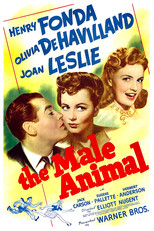 Poster de la película The Male Animal