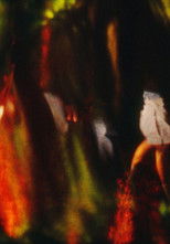 Poster de la película Bagatelle II