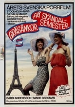 Poster de la película Crazy Swedish Holidays in Paris