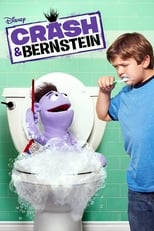 Poster de la serie Crash & Bernstein