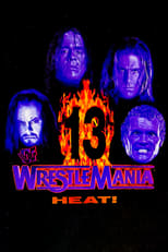 Poster de la película WWE WrestleMania 13