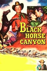 Poster de la película Black Horse Canyon