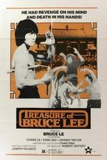 Poster de la película Treasure of Bruce Le