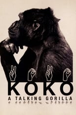 Poster de la película Koko: A Talking Gorilla