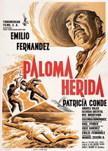 Poster de la película Paloma herida