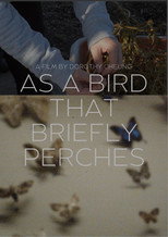 Poster de la película as a bird that briefly perches