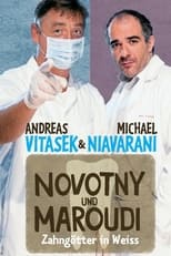 Poster de la serie Novotny und Maroudi