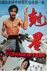 Poster de la película The Tormentor