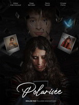 Poster de la película Polarized