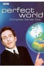 Poster de la serie Perfect World