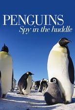 Poster de la serie Penguins: Spy in the Huddle